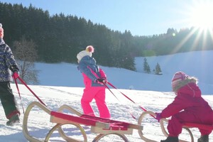 landhotel-gressenbauer-preview2-im-winter-hotel-version-moment8.jpg