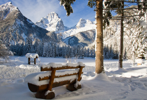 Schiederweiher im Winter erleben Schiederweiher im Winter erleben