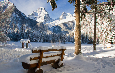 Schiederweiher im Winter erleben
