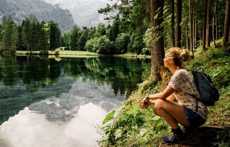 Wandern Schiederweiher
