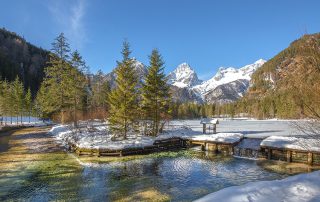 Schiederweiher im winter – Bernhard Paschinger Schiederweiher im winter - Bernhard Paschinger