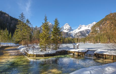 Schiederweiher im winter - Bernhard Paschinger
