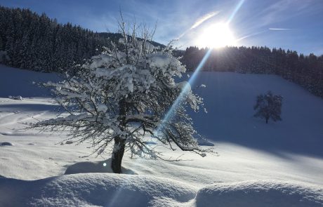 Winter Impressionen Landhotel Gressenbauer